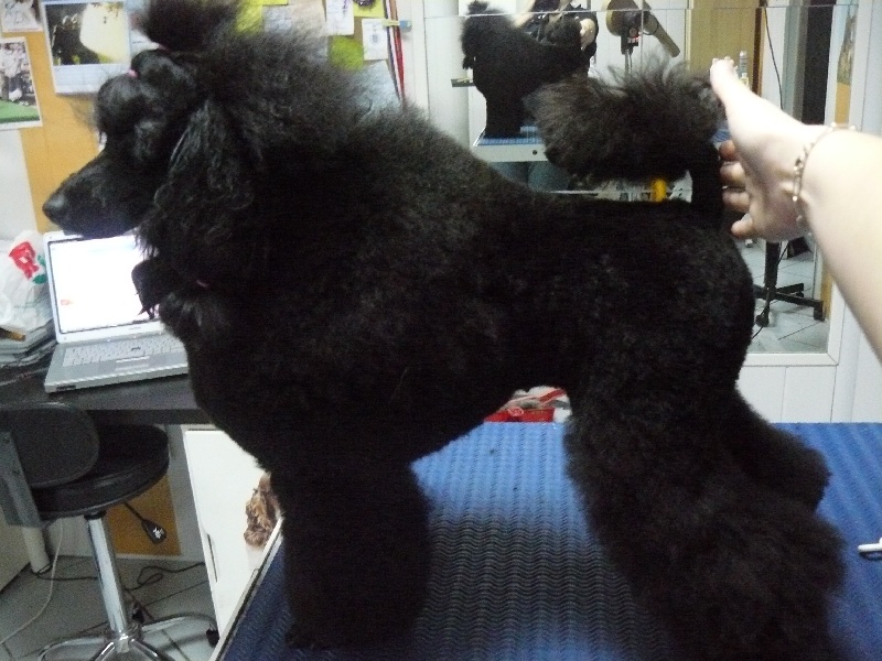 Daisy du clos chanturgue